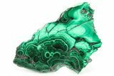 Flowery Polished Malachite Slab - DR Congo #266805-1